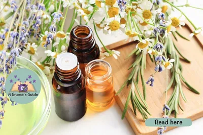 The Power of Aromatherapy article